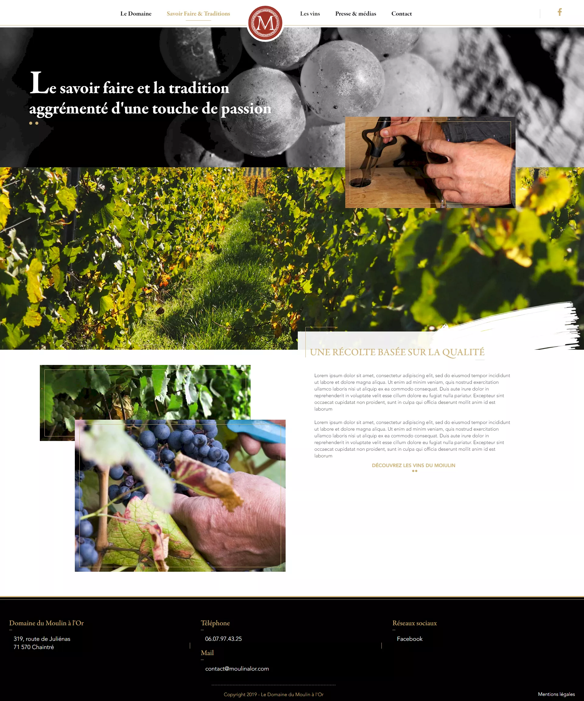 moulin à l'or screen kalfeutre webdesign lyon