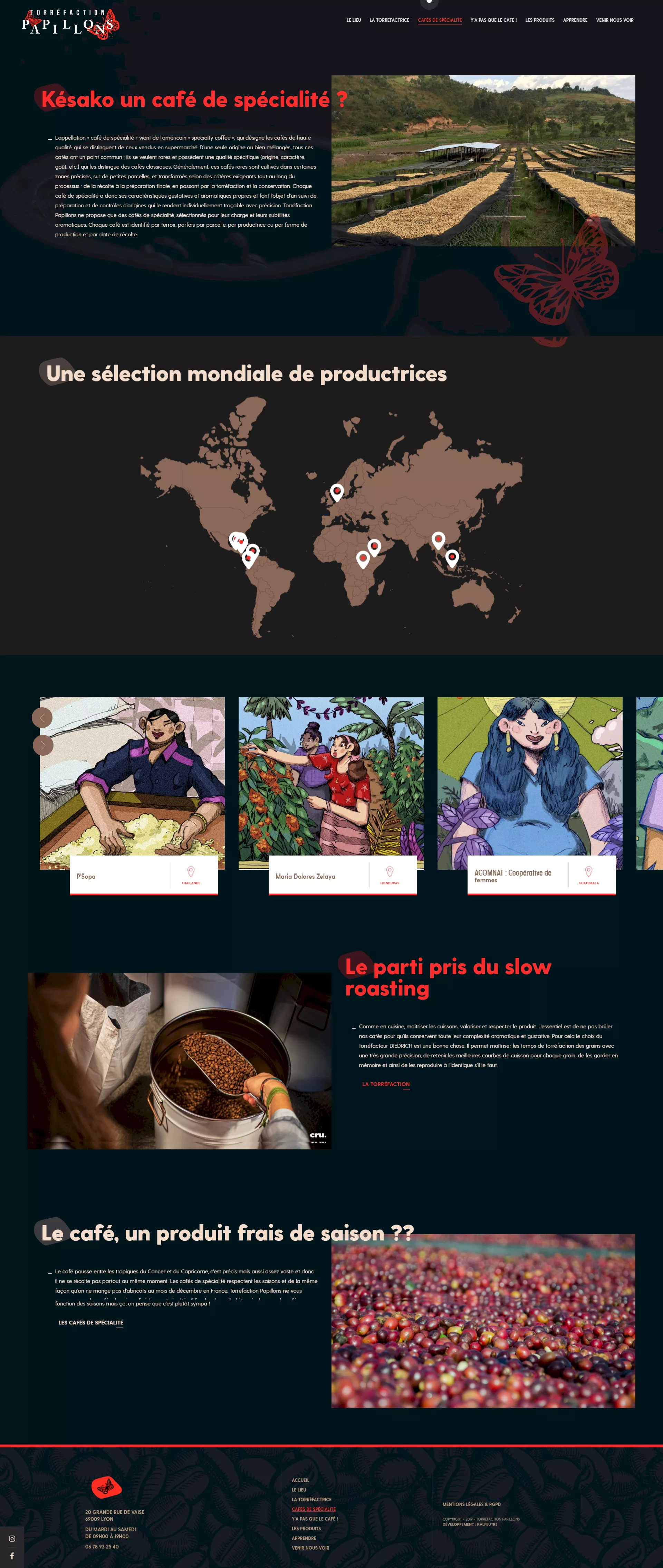 presentation torrefaction papillons webdesign kalfeutre lyon